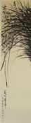 杜海 